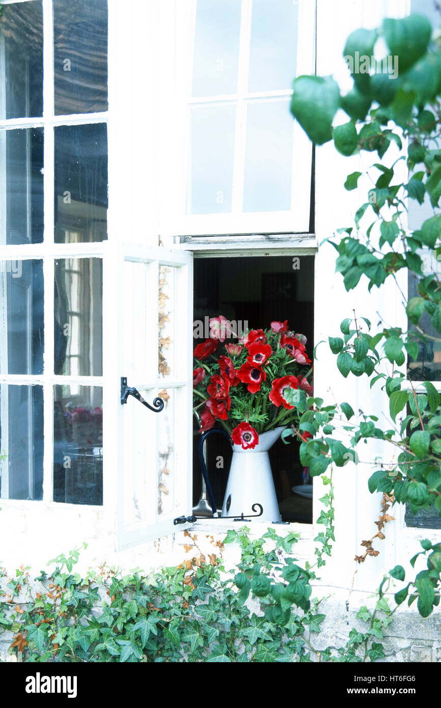 Krug mit Blumen in geöffneten Fenster. Stockfoto