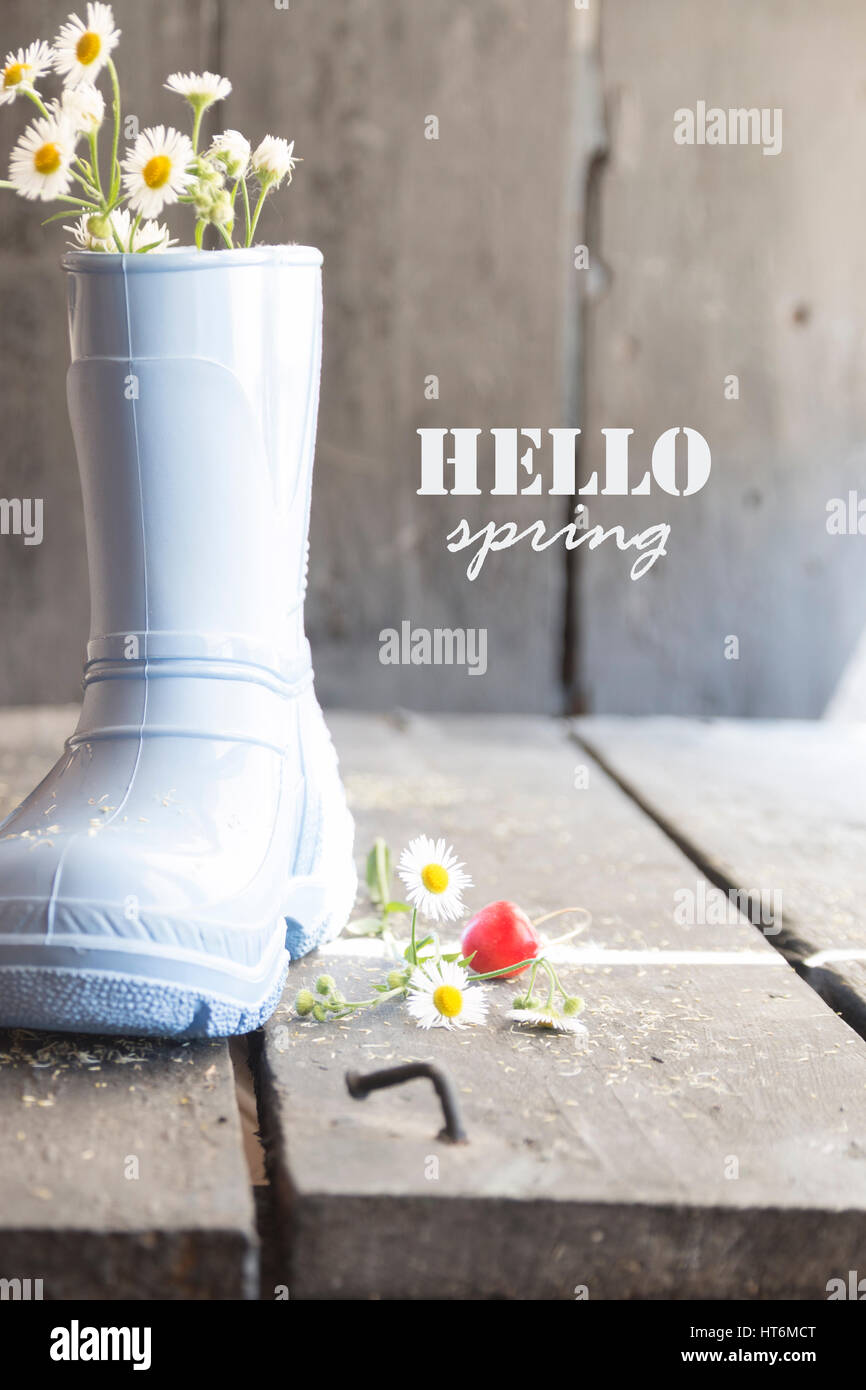 Daisy und Stiefel an einem Oldtimer Hintergrund- und Textfarbe Hallo Frühling Stockfoto