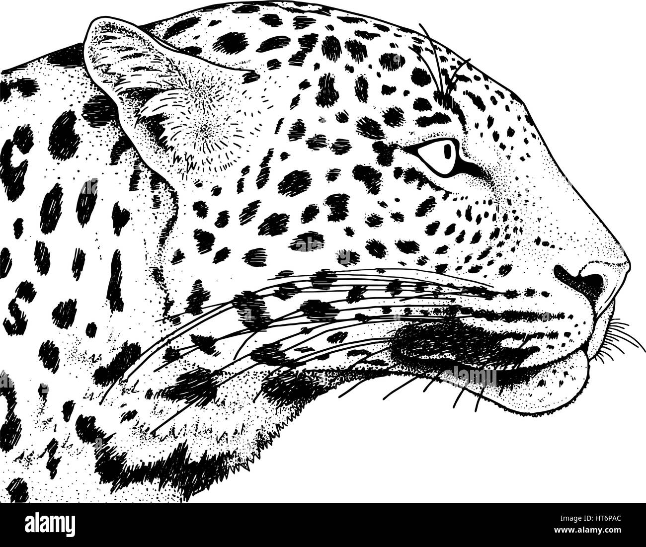 Leopard Gesicht Tattoo, Vektor-Illustration, print Stock Vektor