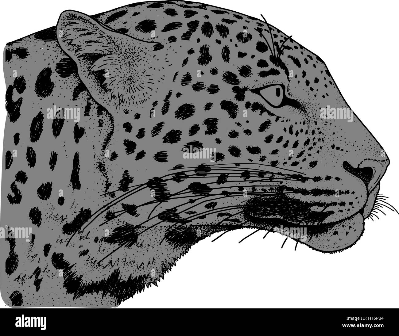 Leopard Gesicht Tattoo, Vektor-Illustration, print Stock Vektor