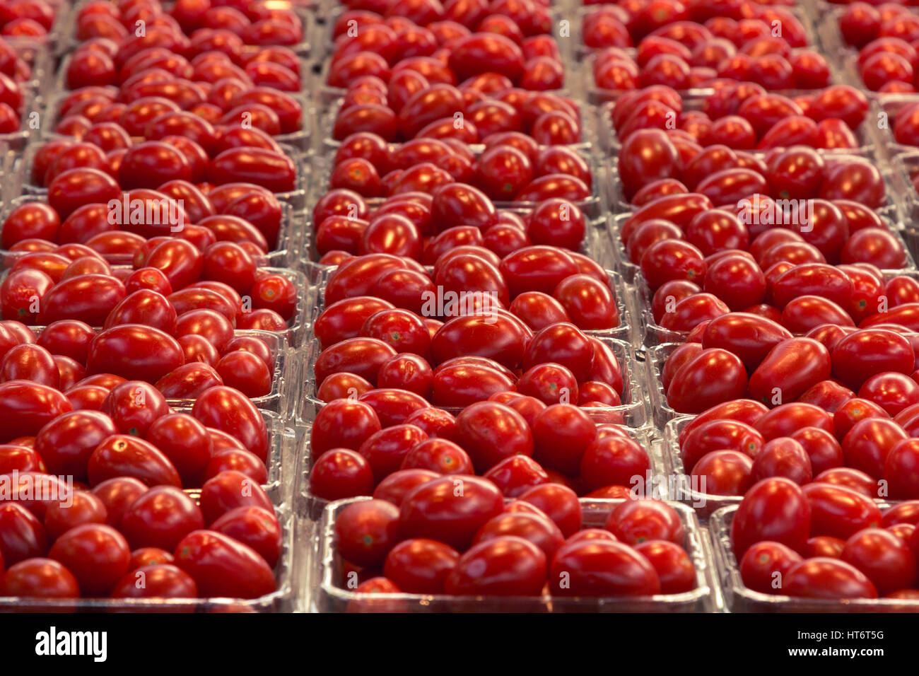 Kirsche Tomaten zum Verkauf auf dem kanadischen Markt Bild von Cherry  Tomaten bereit zum Verkauf auf einen Markt in Körbchen eine Kirsche Tomate  ist eine abgerundete, kleine f Stockfotografie - Alamy