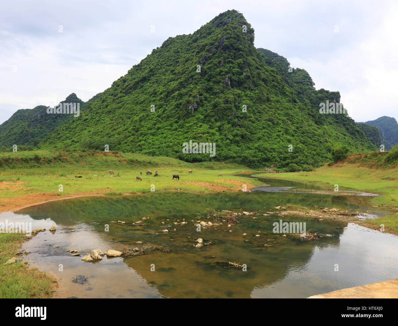 Landschaft von Vietnam Stockfoto