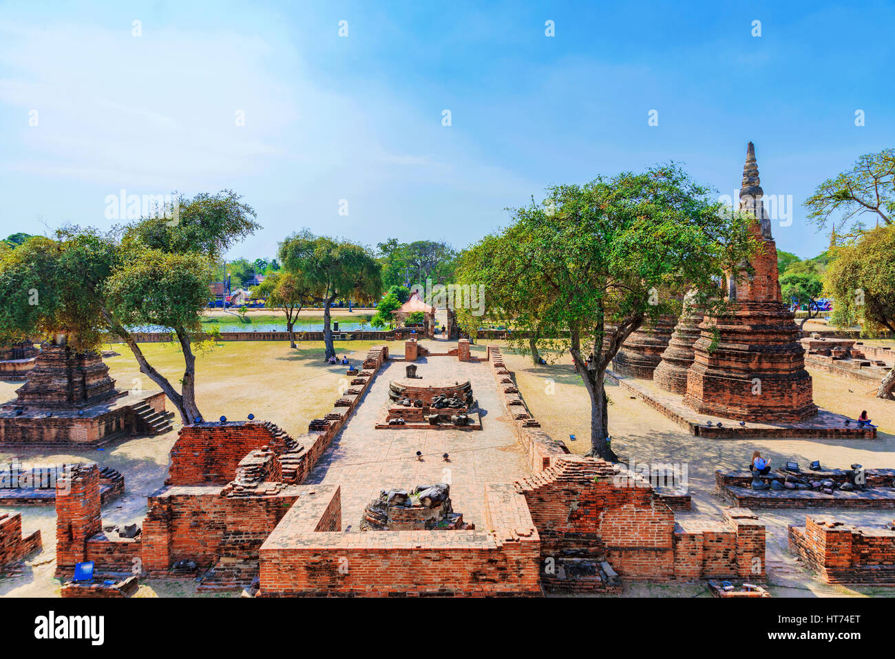 Alten Tempelruinen in Ayutthaya Thailand naturverbunden Stockfoto