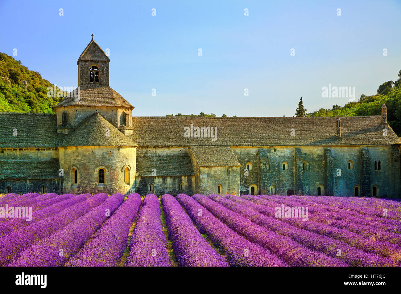 Abtei von Senanque und blühenden Zeilen Lavendel Blumen bei Sonnenuntergang. Gordes, Luberon, Vaucluse, Provence, Frankreich, Europa. Stockfoto