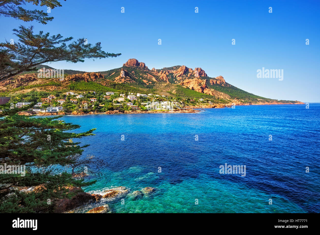 Esterel mediterranen roten Felsen Baum, Küste, Strand und Meer. Côte d ' Azur in Cote d ' Azur in der Nähe von Cannes Saint Raphael, Provence, Frankreich, Europa. Stockfoto