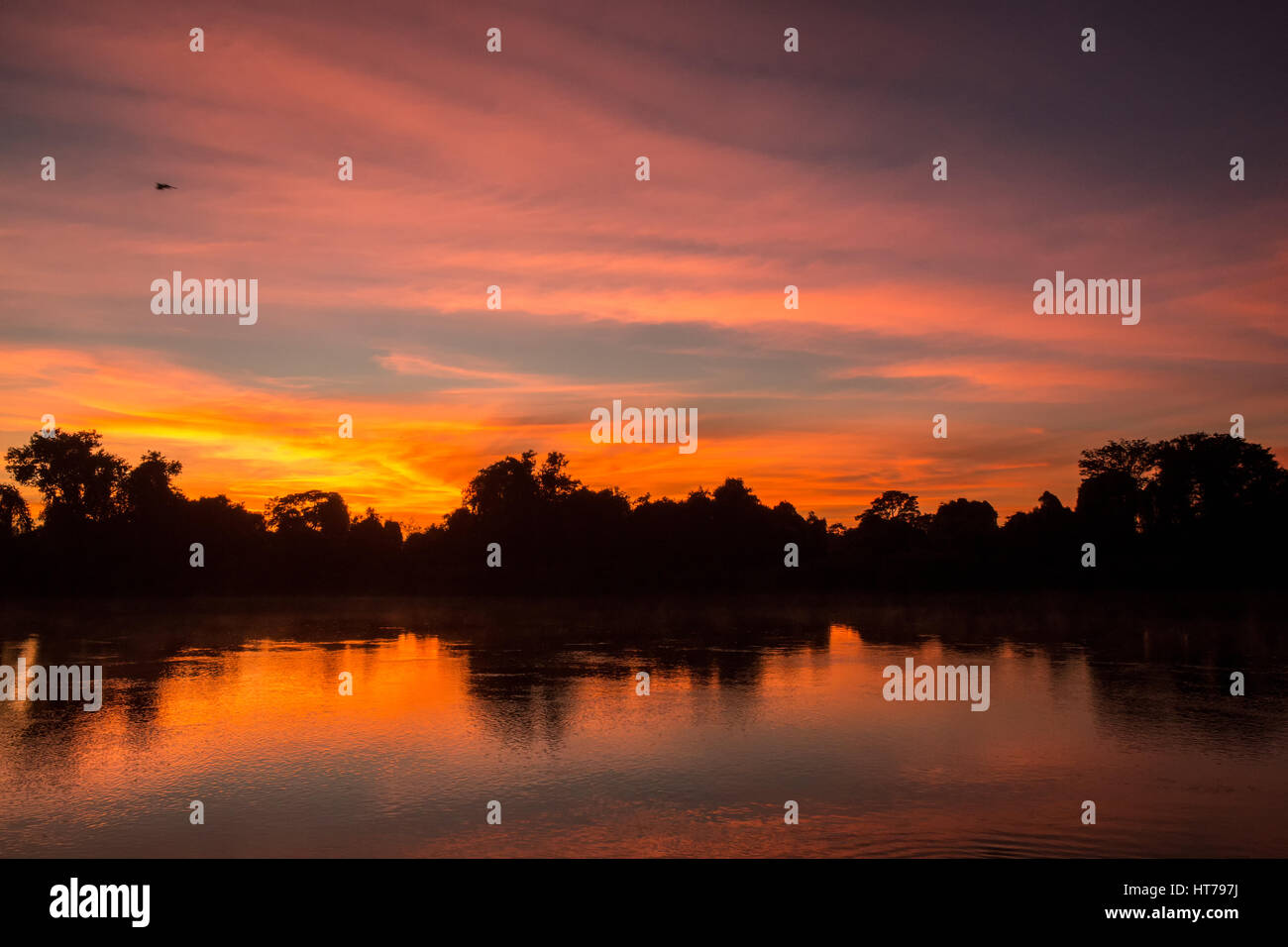 Bunte Sonnenaufgang am Fluss Cuiaba im Großraum Pantanal von Mato Grosso, Brasilien, Südamerika Stockfoto