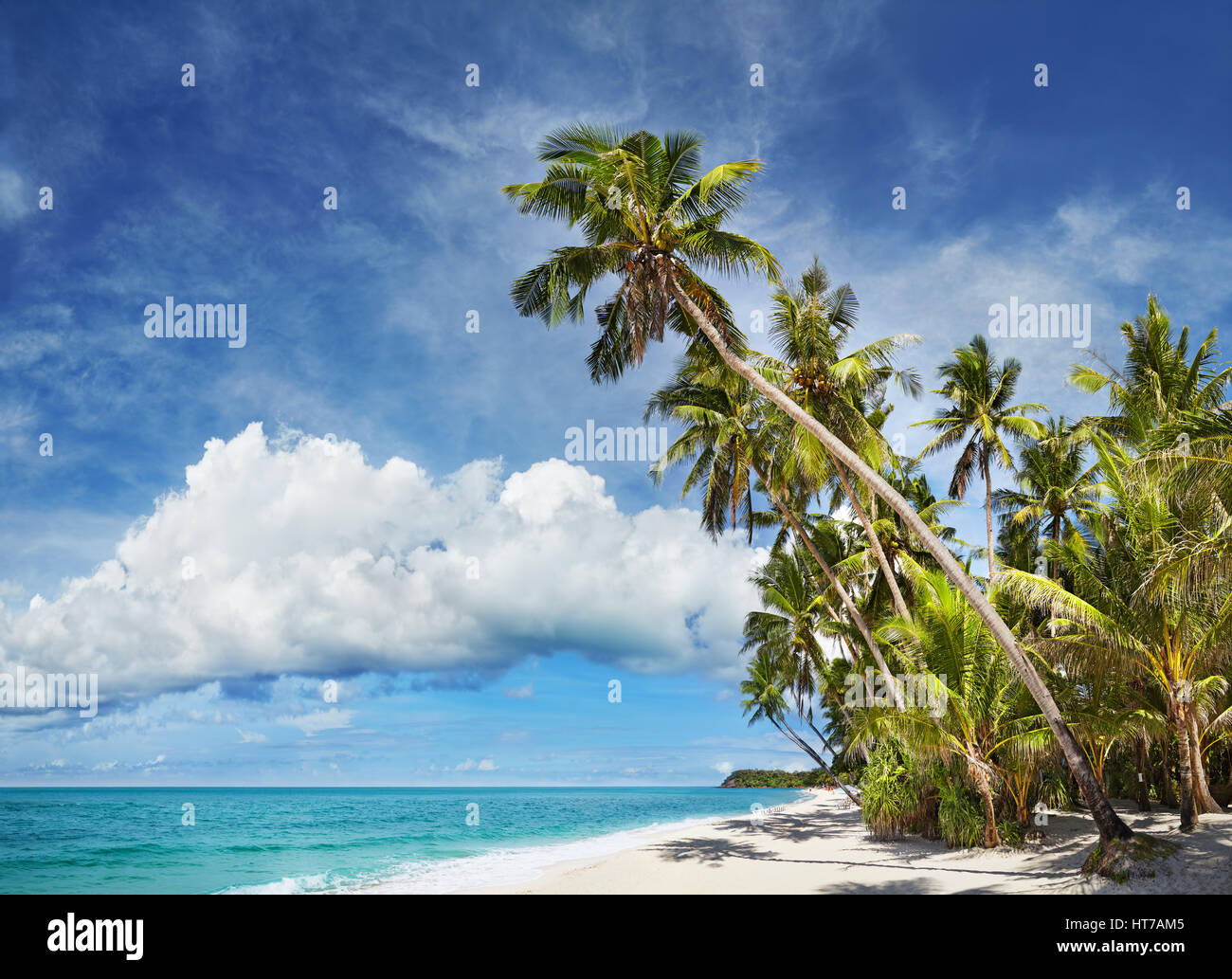 Tropischer Strand mit Palmen und weißem sand Stockfoto
