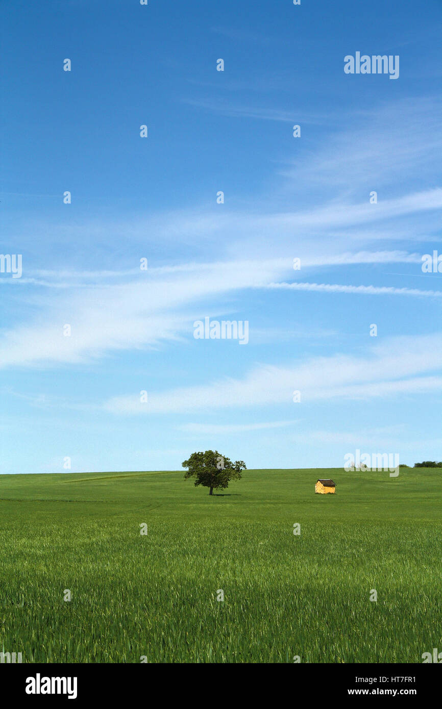 BAUM UND HÜTTE IN EINEM FELD FRANKREICH Stockfoto