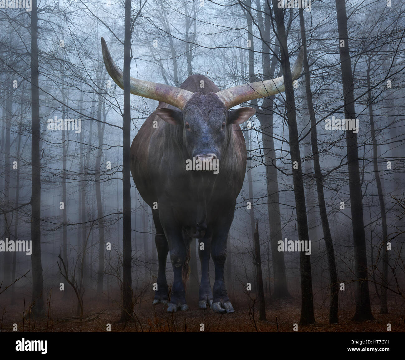 Konzeptbild mit einer enormen Watusi Stier in einem unheimlich Wald im Nebel Stockfoto