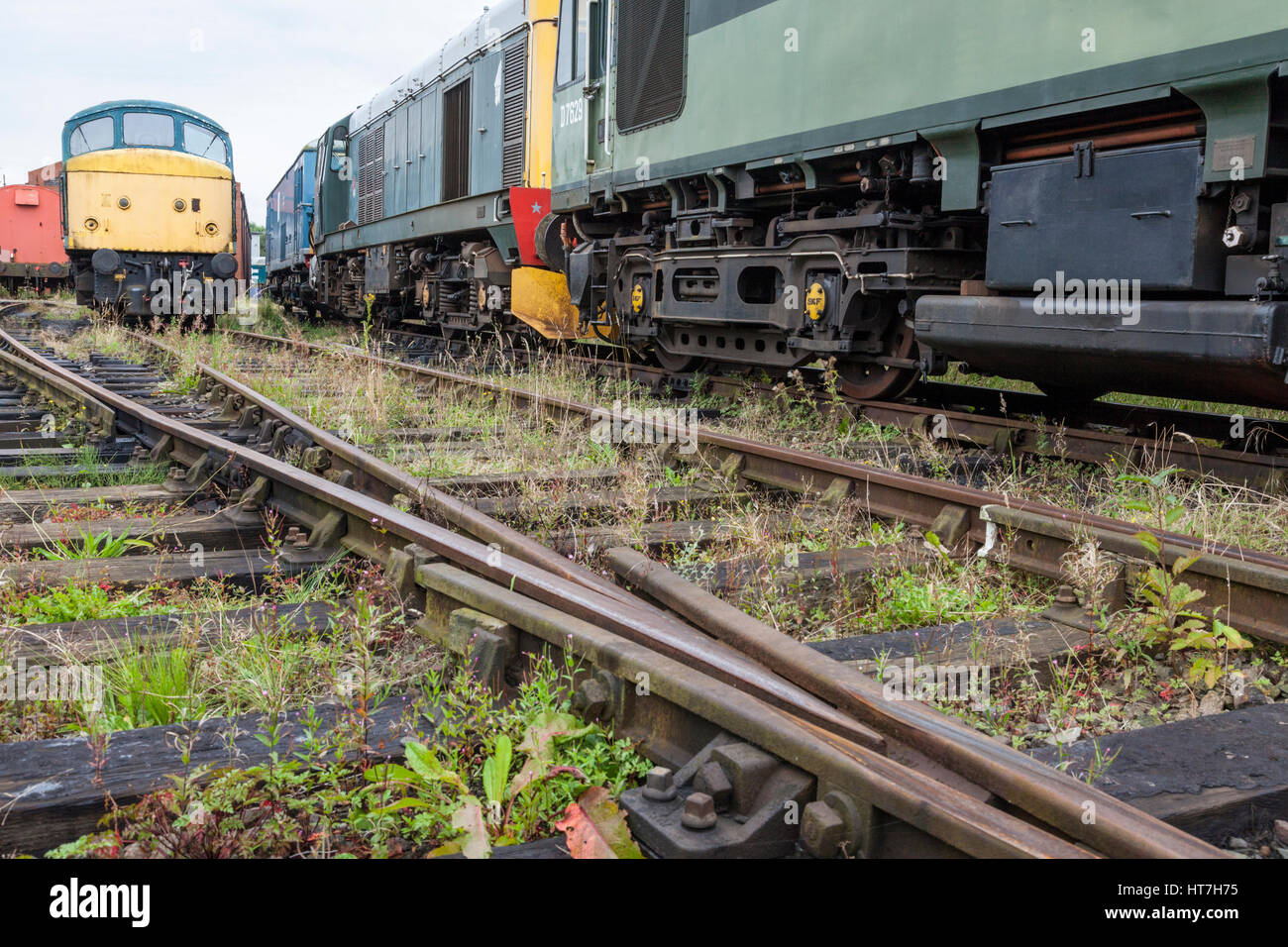 Mehrere alte Diesellokomotiven wartet auf Restaurierung bei Nottingham Transport Heritage Centre, Ruddington, Nottinghamshire, England, UK Stockfoto