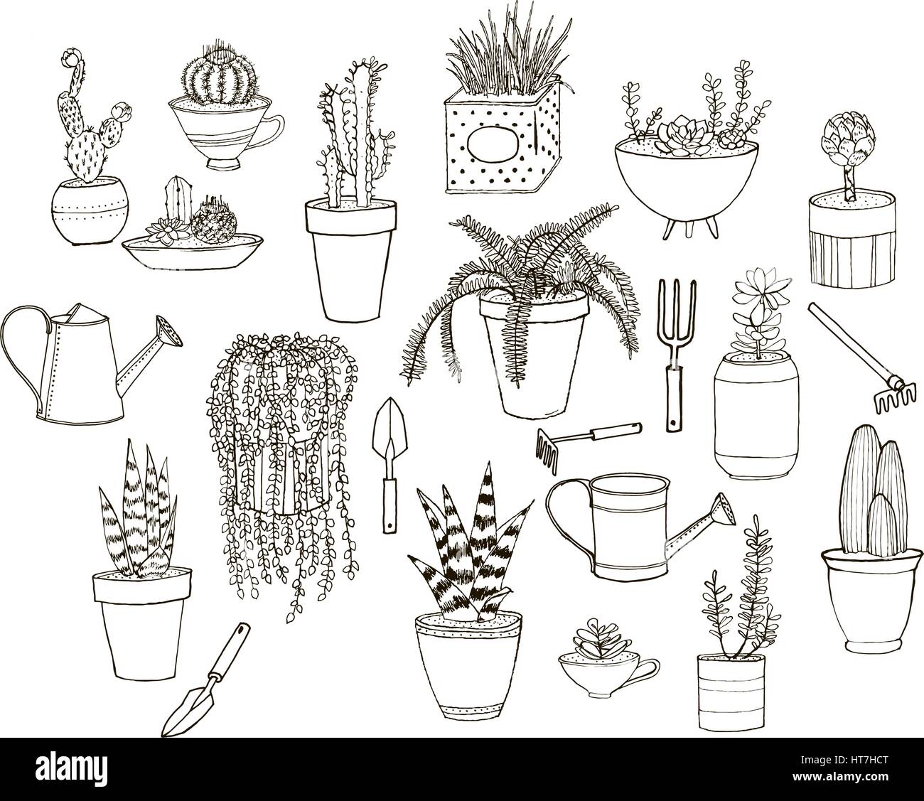 Satz von handgezeichneten Bildern mit Topfpflanzen und Werkzeuge. Saubere Strichzeichnungen geeignet für repaining und Malbüchern. Stock Vektor