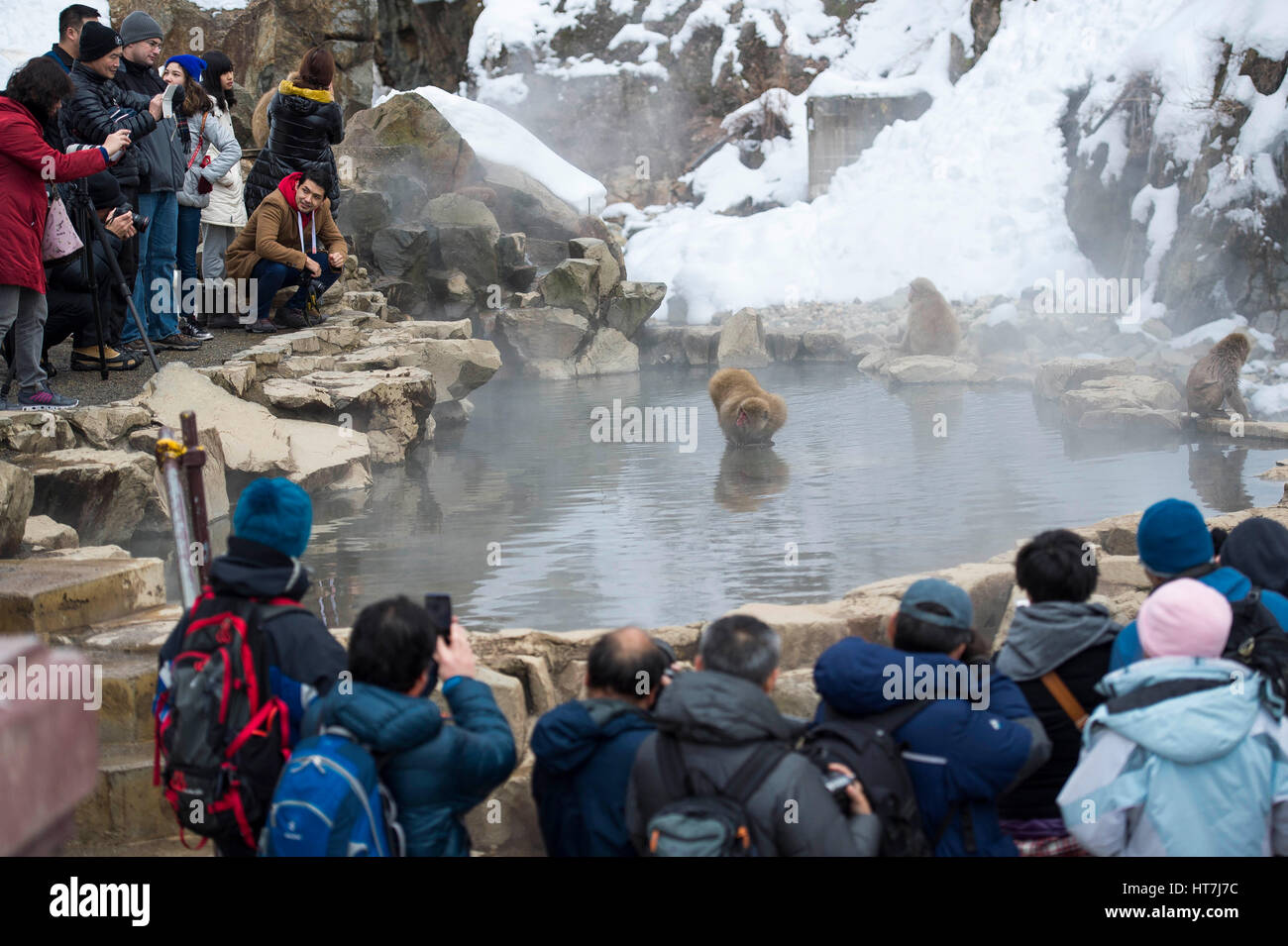 Eine Menge von Menschen versammelten sich in der Snow Monkey Park In Nagano, Japan Stockfoto