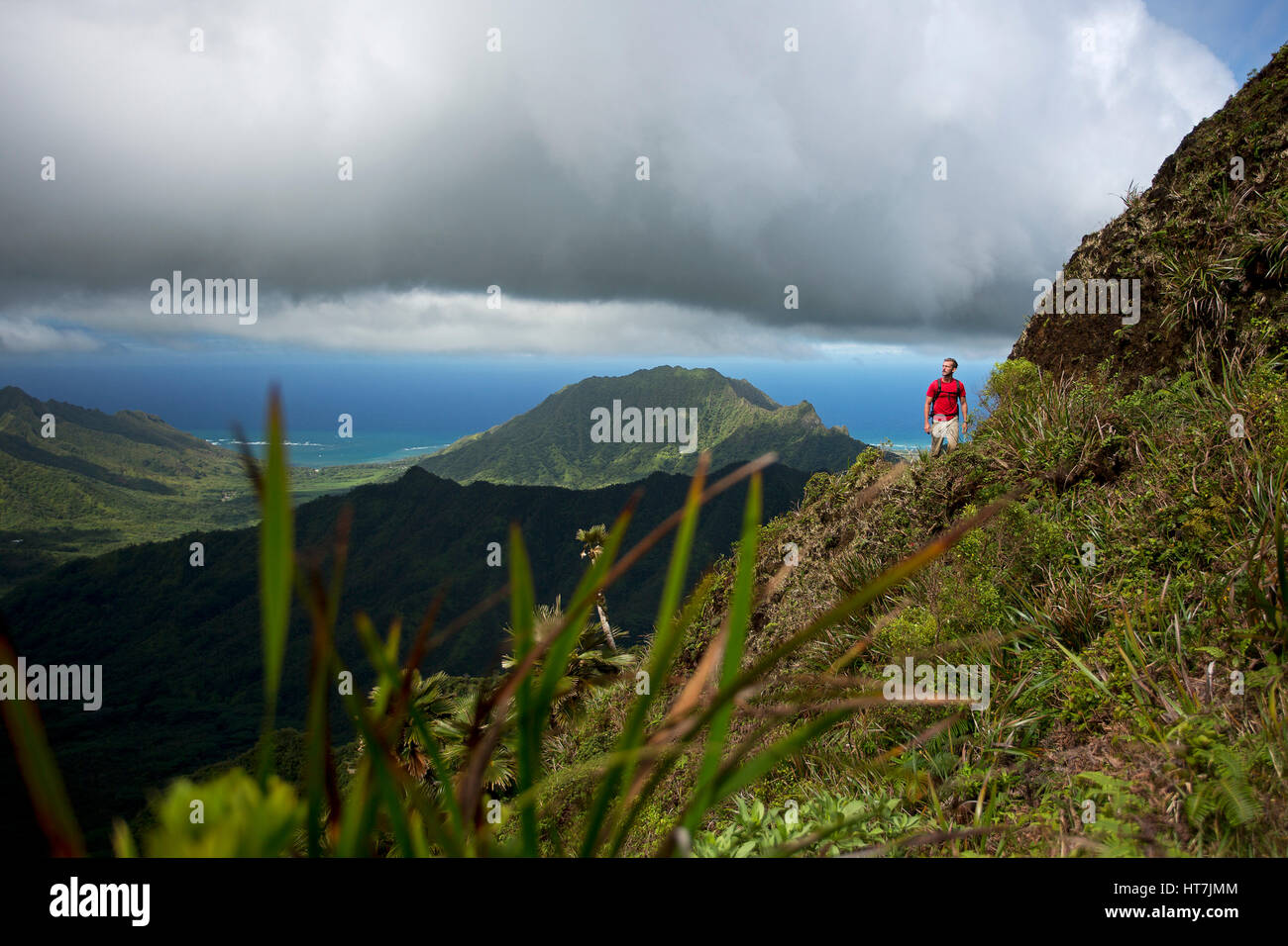 Eine Extreme Wanderer Chase Norton erkunden die Kahana-Tal In Oahu Stockfoto