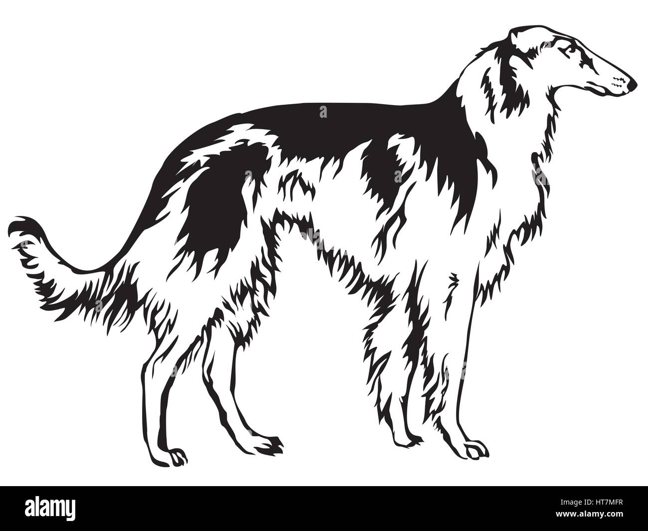 Decoratie Russian Wolfhound, Borzo Vektor-Illustration in schwarz / weiß Stock Vektor