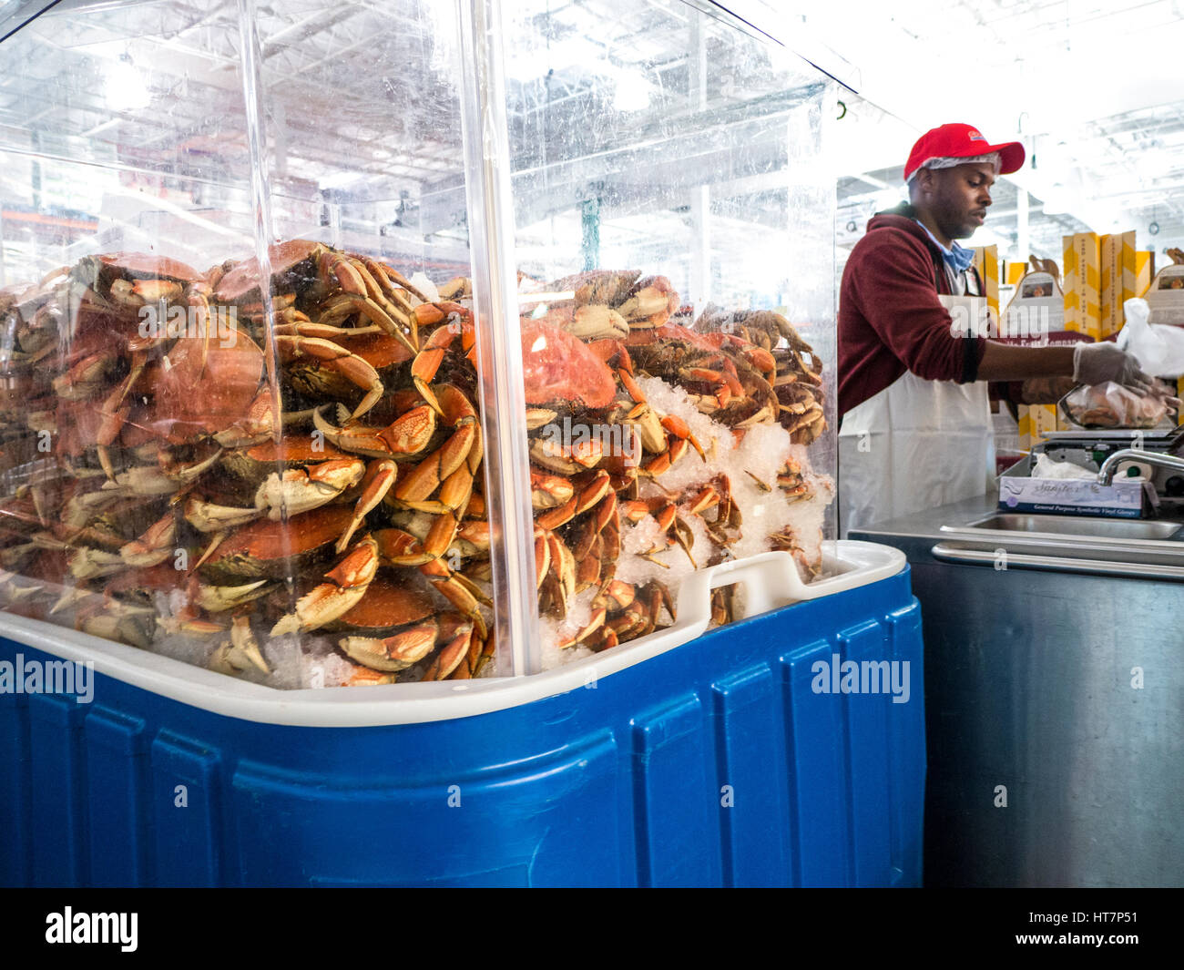 Dungeness Krabben auf Verkauf in großen Großmarkt in San Francisco Kalifornien, USA Stockfoto