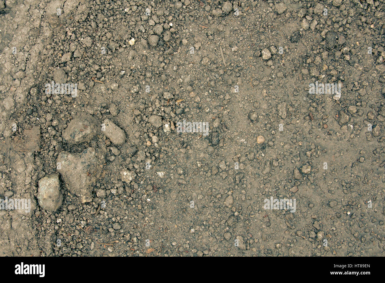 Nahaufnahme der nassen steinigen Boden in einem Frühling, abstrakten Hintergrund Stockfoto