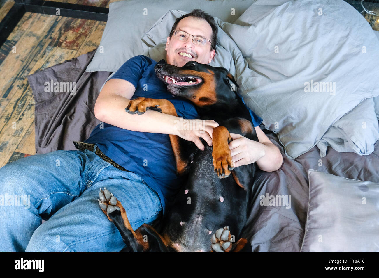 Mann im Bett mit großen schwarzen Dobermann Hund Stockfoto