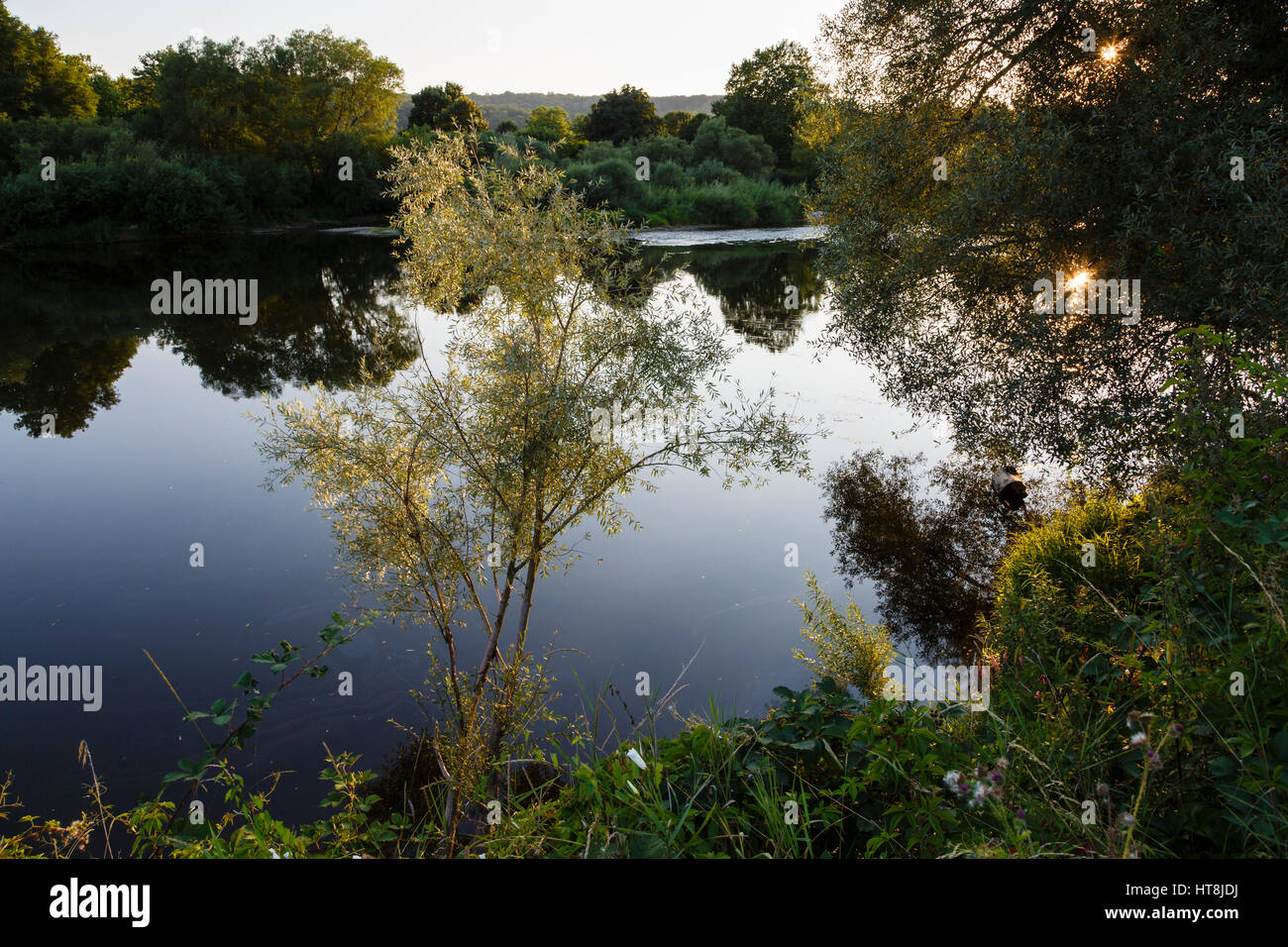 Abendlicht an der Mosel am Tonnoy, Meurthe-et-Moselle, Frankreich Stockfoto