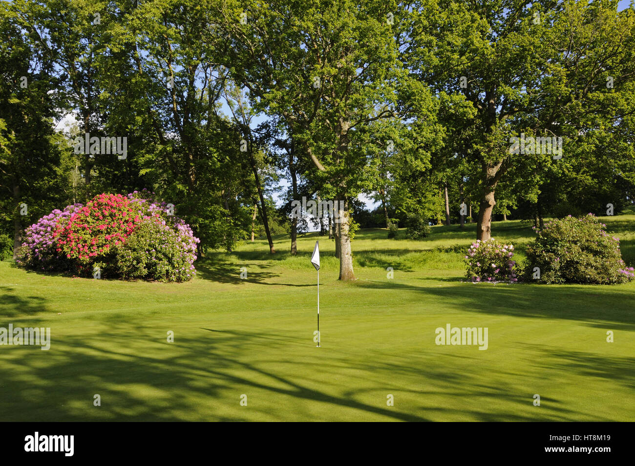 Blick auf das 2. Grün mit Blumen hinter West Surrey Golf Club, Godalming, Surrey, England Stockfoto