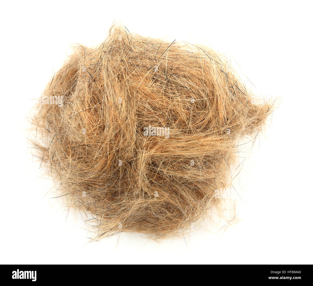 Ball der Hund Haare Nahaufnahme. Kugel braun Hundehaaren isoliert auf weißem Hintergrund. Stockfoto