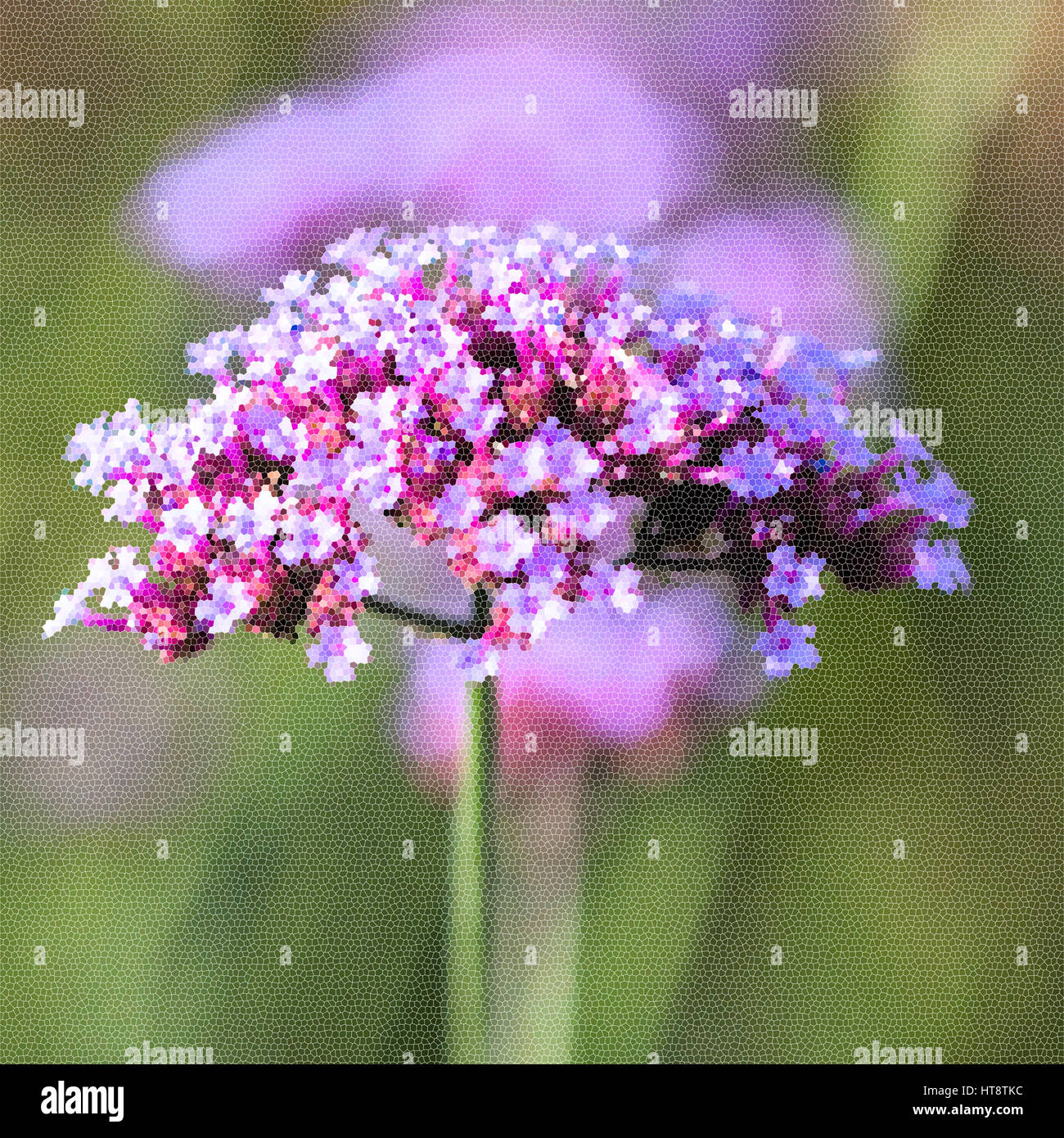 Leuchtend lila Blüten Nahaufnahme. Nachahmung des Mosaiks. Konzept von der schönen Natur, Sommer Hintergrund. Jahreszeiten, Gartenarbeit, Blumen zu bewundern Stockfoto