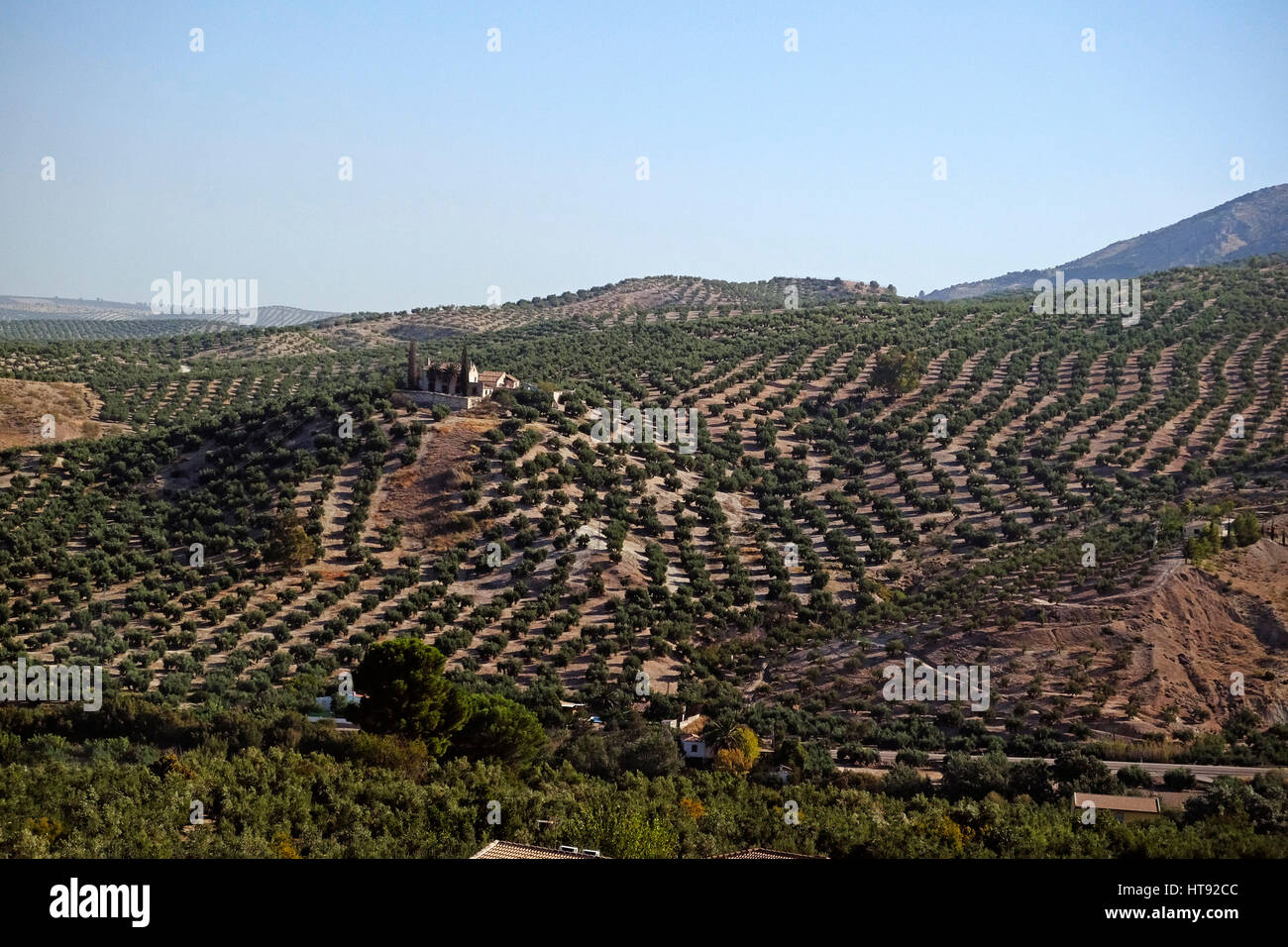 Malerische Aussicht auf Ackerland mit Obstgärten auf dem Weg von Granada nach Madrid, Spanien Stockfoto
