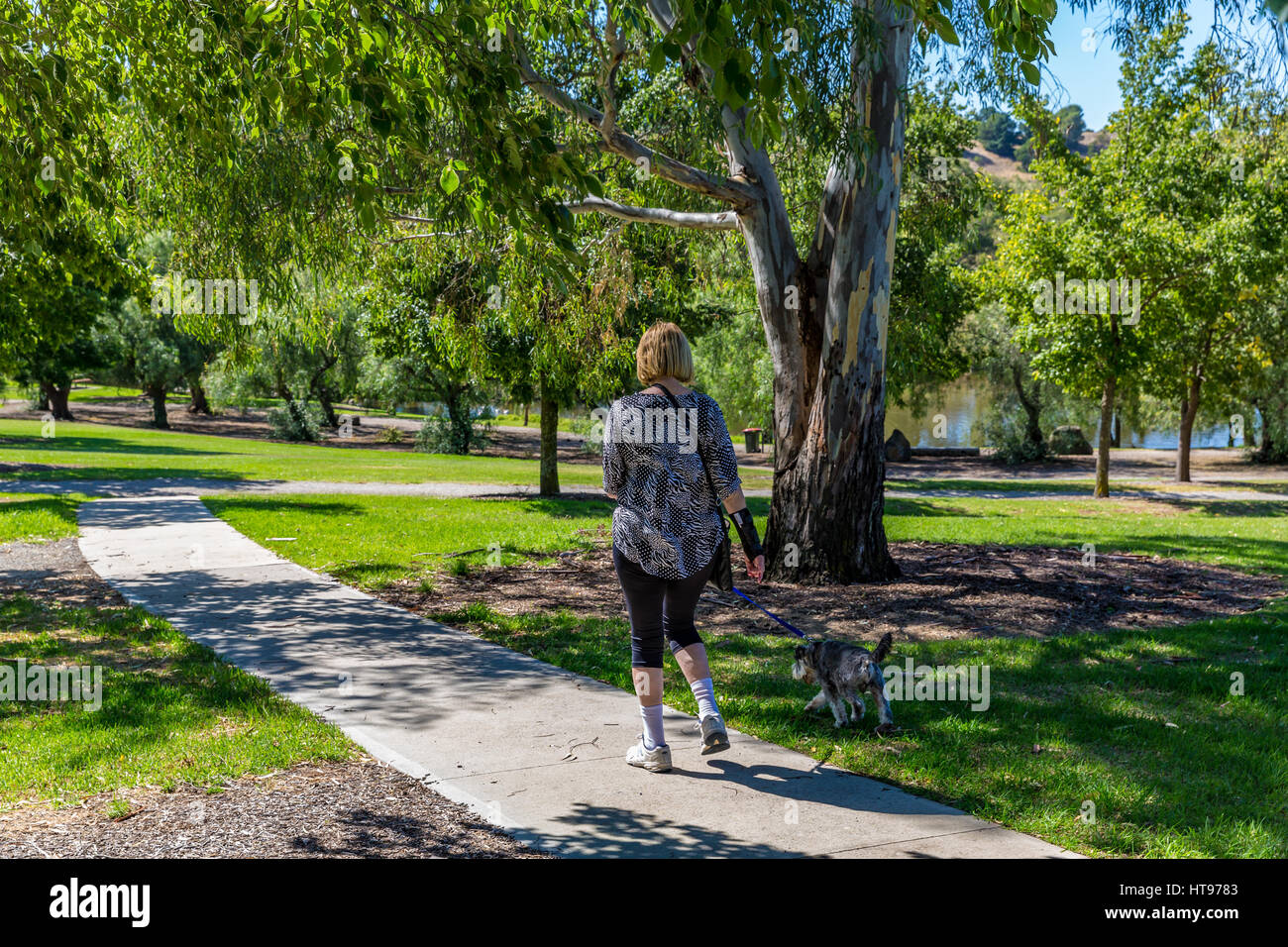 Eine Frau geht ihren Hund an der Leine im Bicentennial Park, Sunbury, Vic, Australien Stockfoto