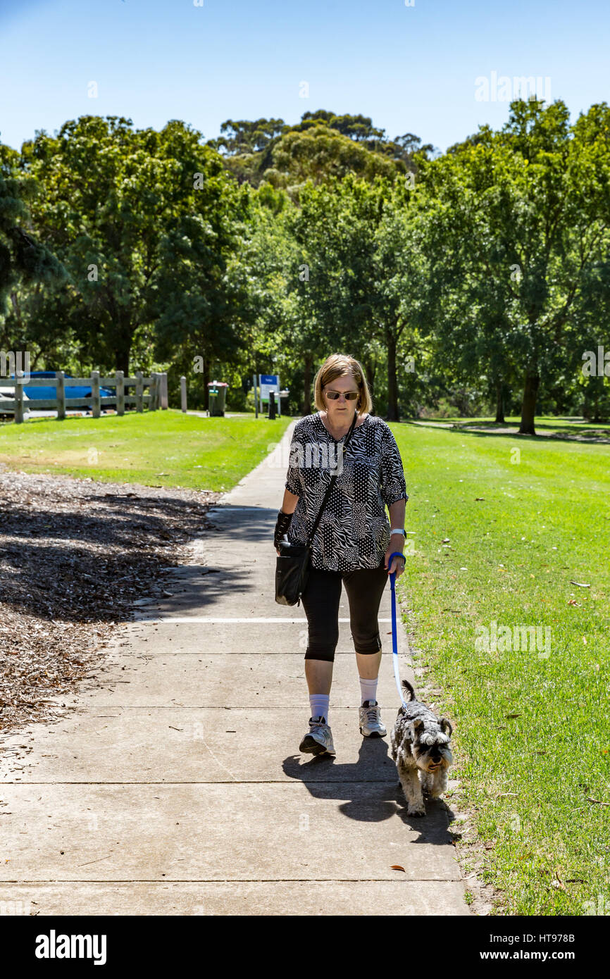Eine Frau geht ihren Hund an der Leine im Bicentennial Park, Sunbury, Vic, Australien Stockfoto