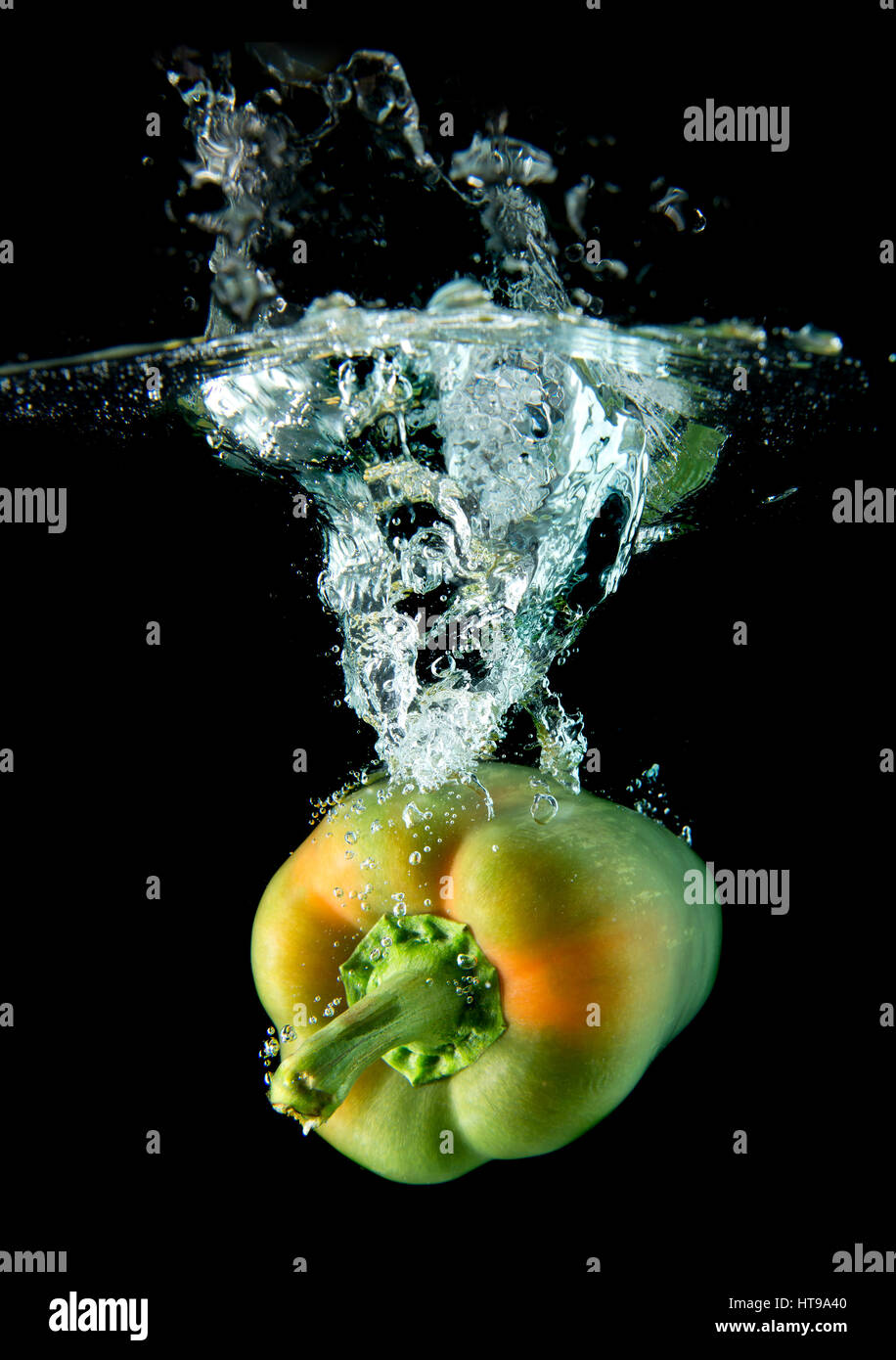 Spritzwasser aus Wasser Droping Paprika in Studio-Beleuchtung auf schwarzem Hintergrund. Stockfoto