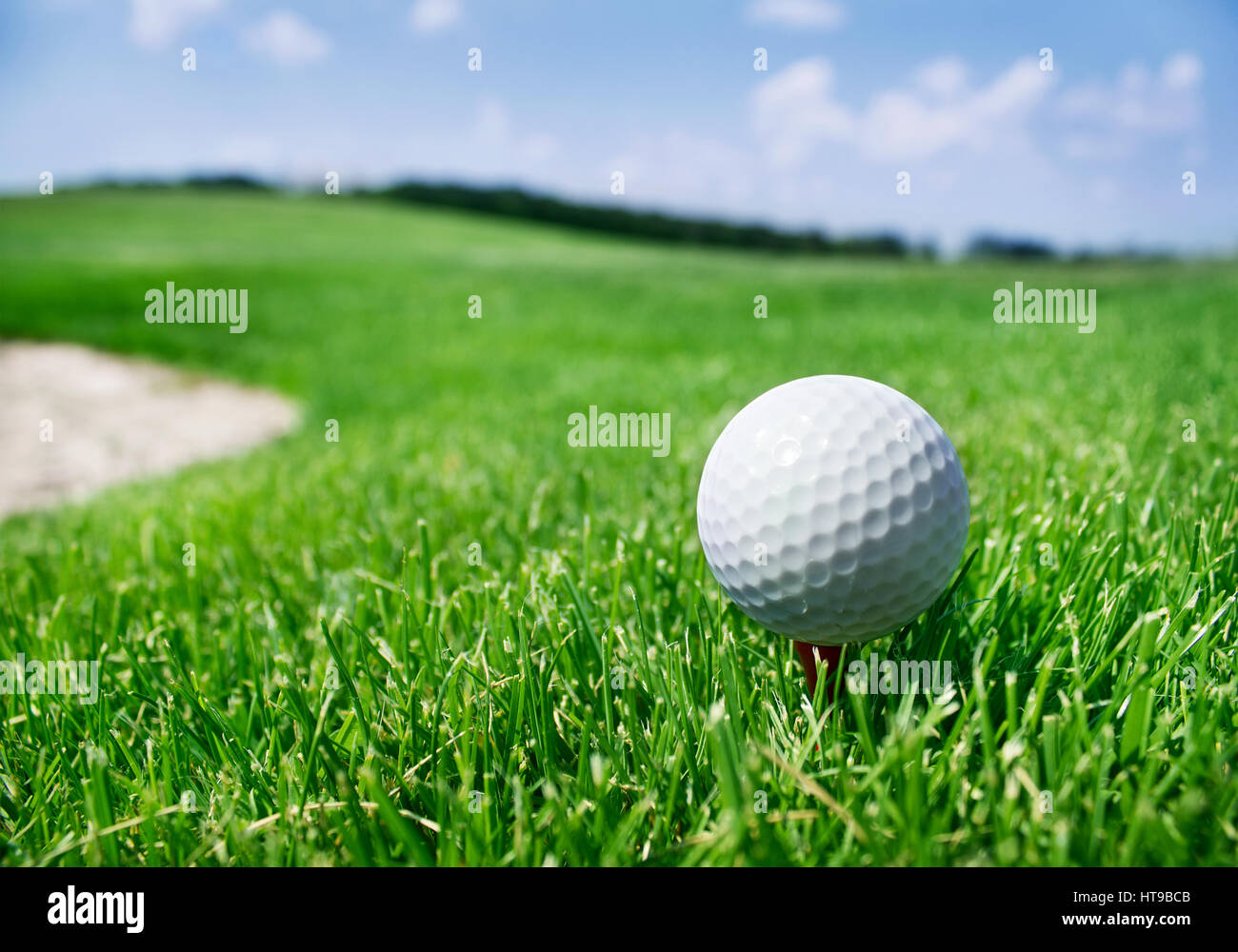 Rasen im freien liegende weiße Golfball Stockfoto