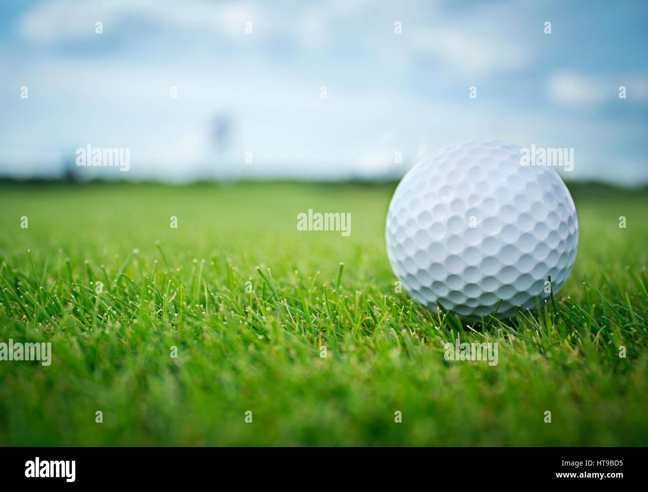 Rasen im freien liegende weiße Golfball Stockfoto