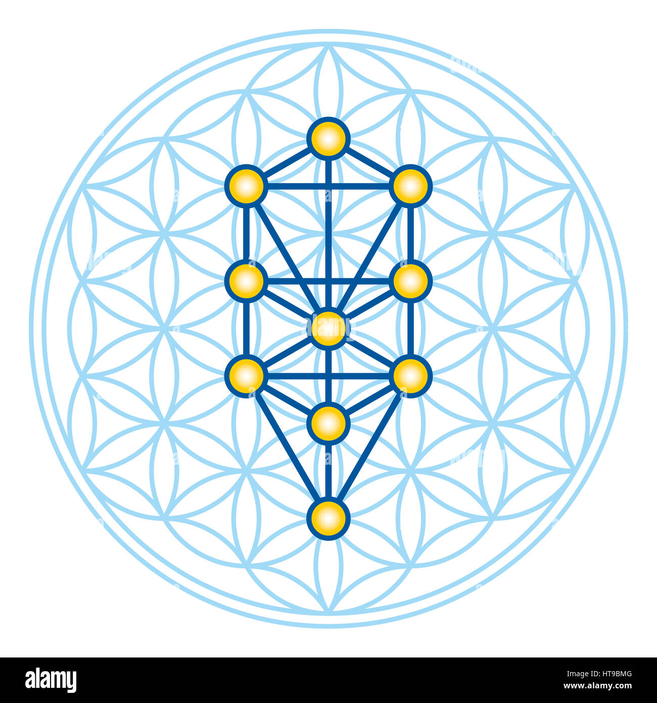 Blume des Lebens im Baum des Lebens. Sephirots der Kabbalah in alten symmetrischen Symbol, bestehend aus mehreren überlappenden Kreisen. Stockfoto