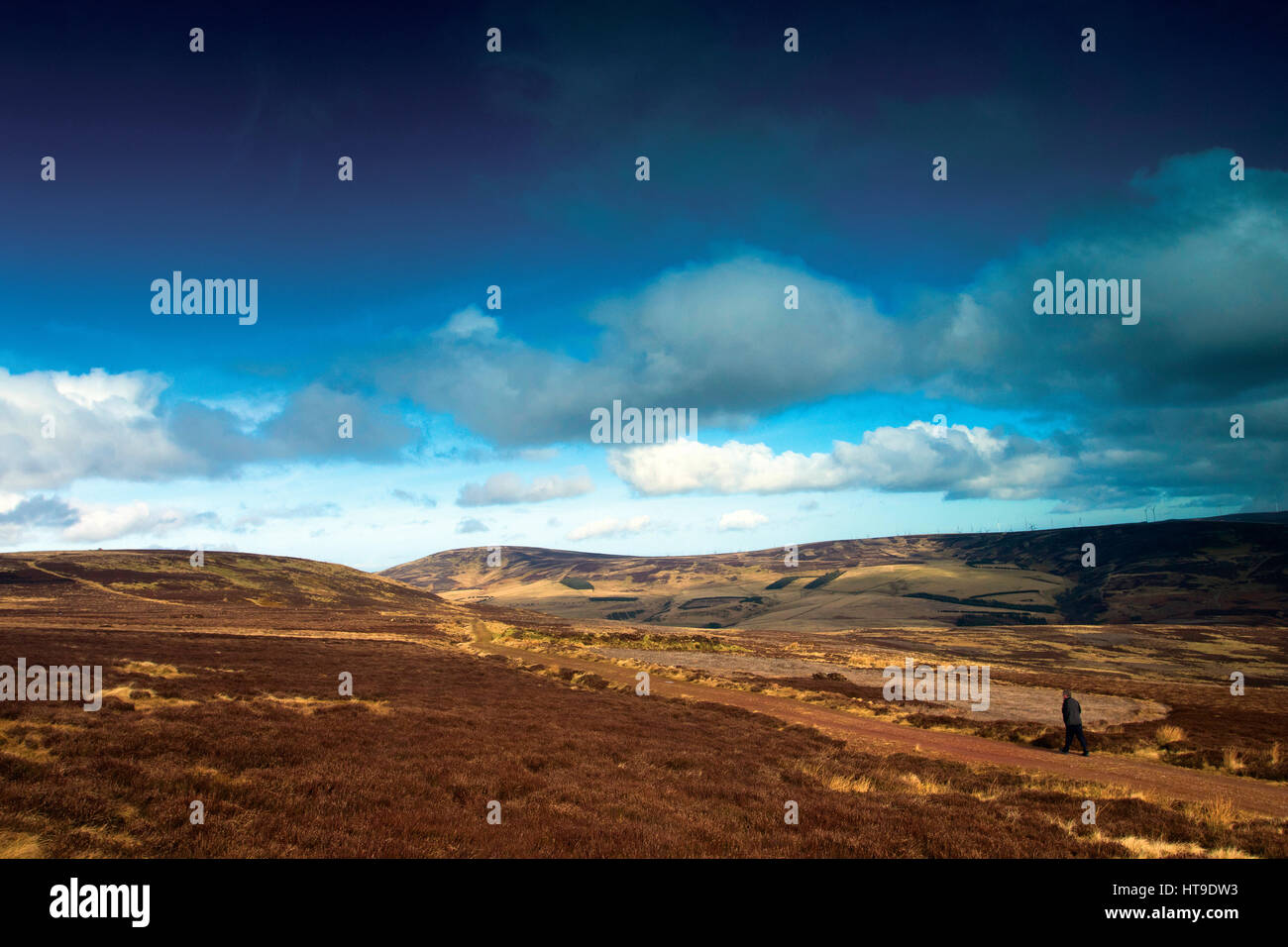 Priestlaw Hill und Spartleton, die Lammermuir Hills, East Lothian Stockfoto