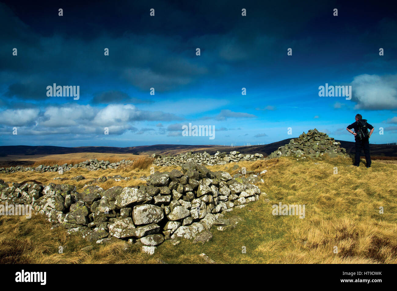 Der Gipfel des Priestlaw Hill, die Lammermuir Hills, East Lothian Stockfoto