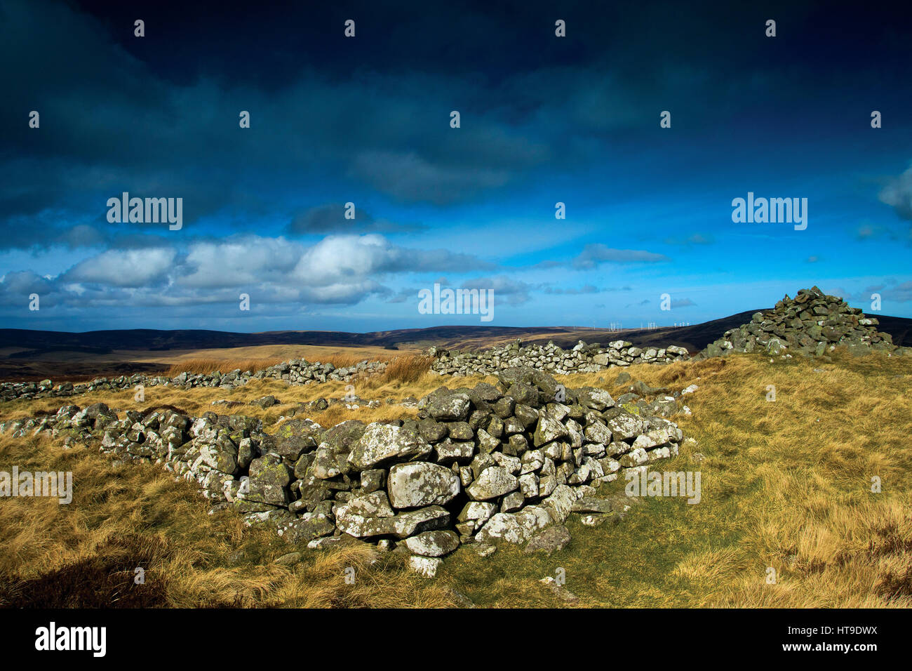 Der Gipfel des Priestlaw Hill, die Lammermuir Hills, East Lothian Stockfoto