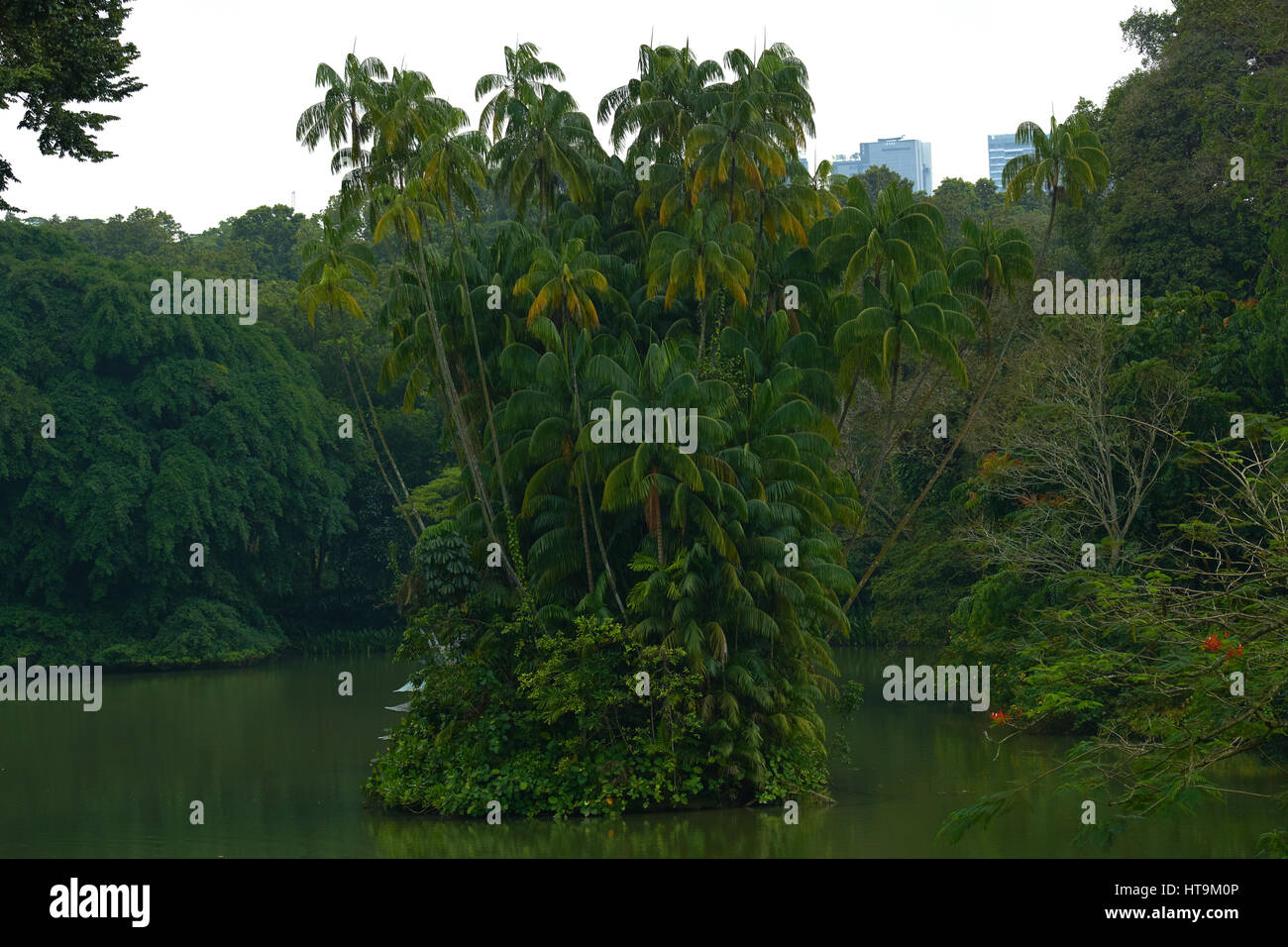 Insel der Kokosnuss in einem See Stockfoto