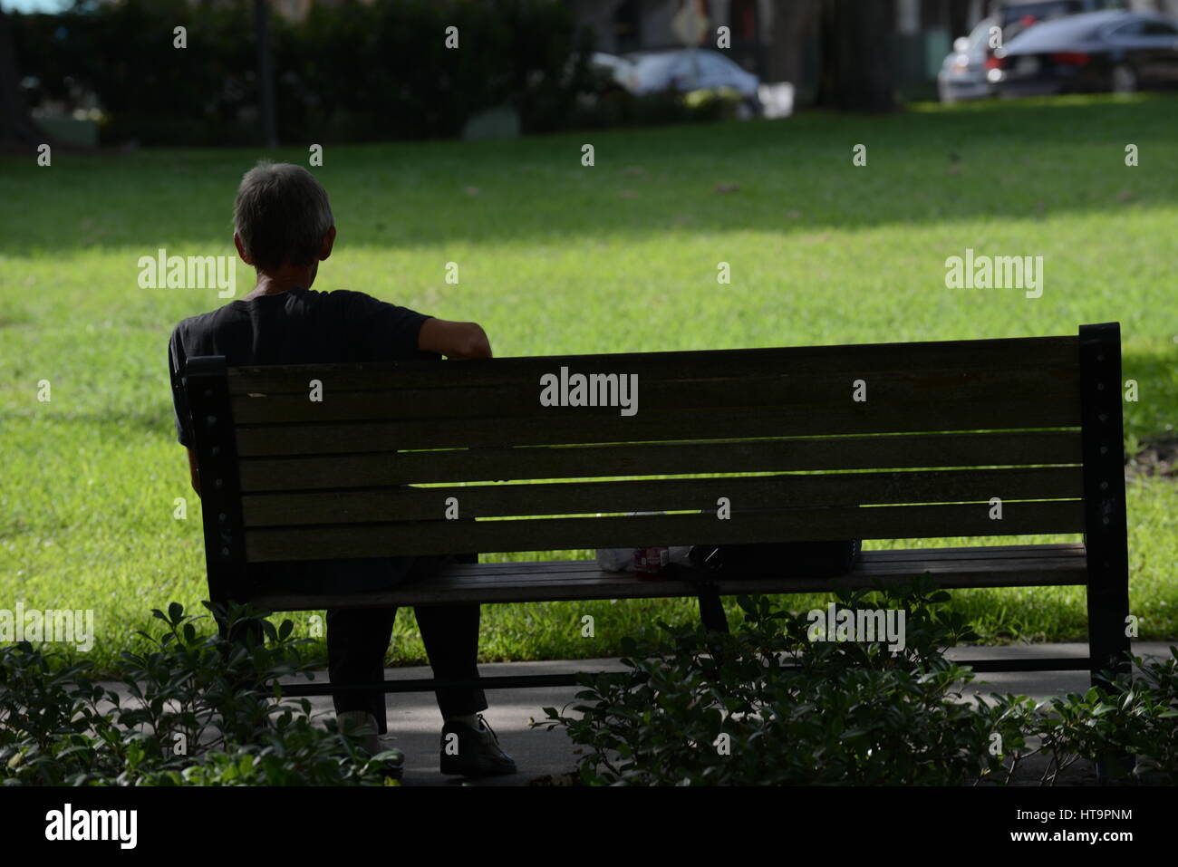 Silhouette der Mann sitzt auf der Parkbank mit Rasen um ihn herum Stockfoto
