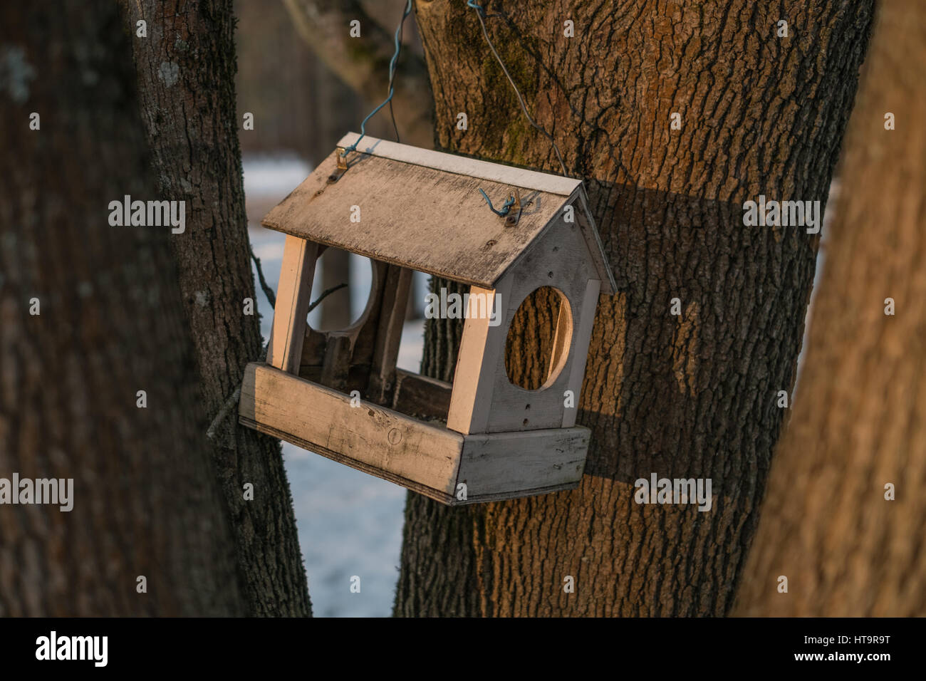 Hölzerne Vogelhäuschen auf einem Baum an sonnigen Wintertag Stockfoto