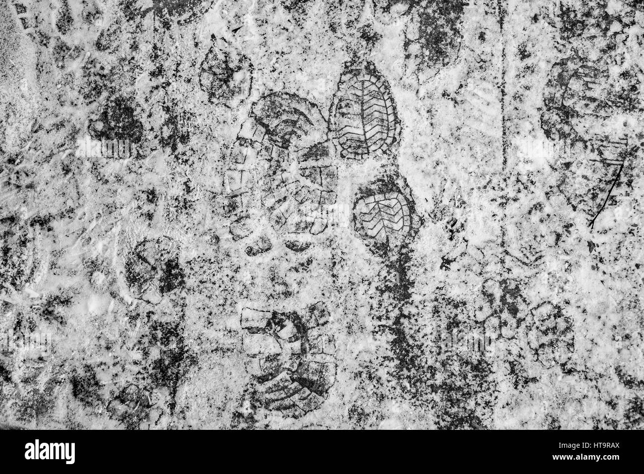 Mann, Kind und ein Hund-Footprinnts auf dem eisigen Schnee Stockfoto