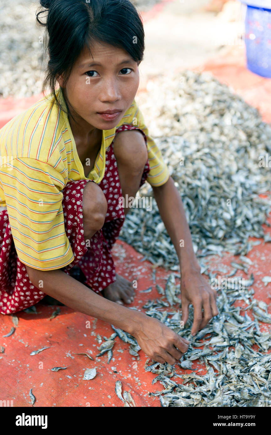 Myanmar (vormals Birmanie). Ngapali. Arakan Zustand. Bengal-Golfplatz. Fischerdorf. Frauen setzen getrocknet Stockfoto