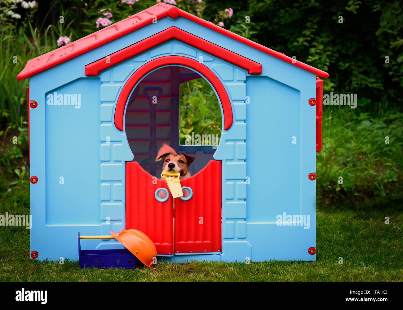 Konzept der Hund seine Haus im Garten mit Werkzeugkasten Stockfoto
