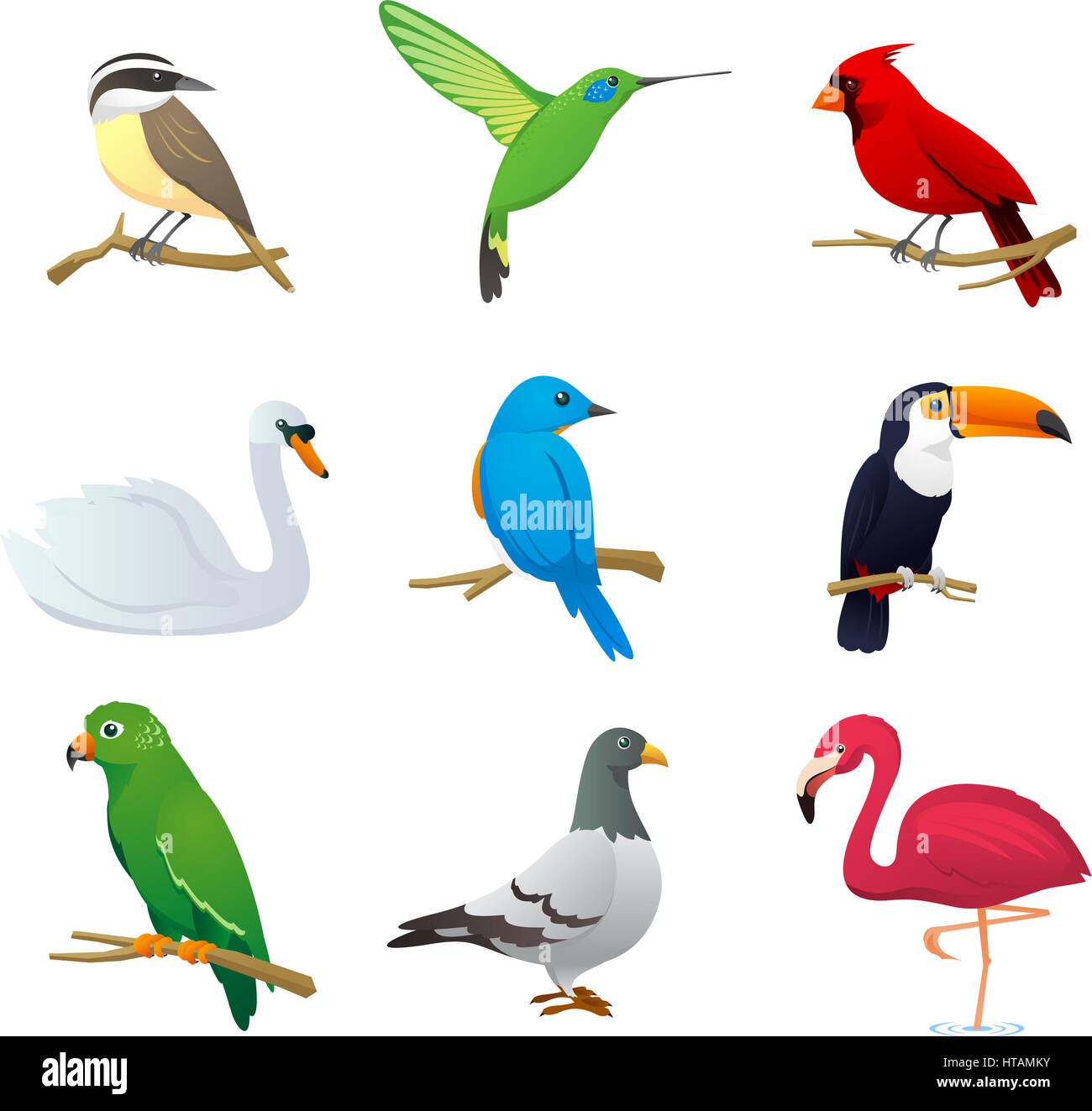 Realistische Arten Vogelsammlung, mit neun verschiedenen Vogelarten Vektor-Illustration. Stockfoto