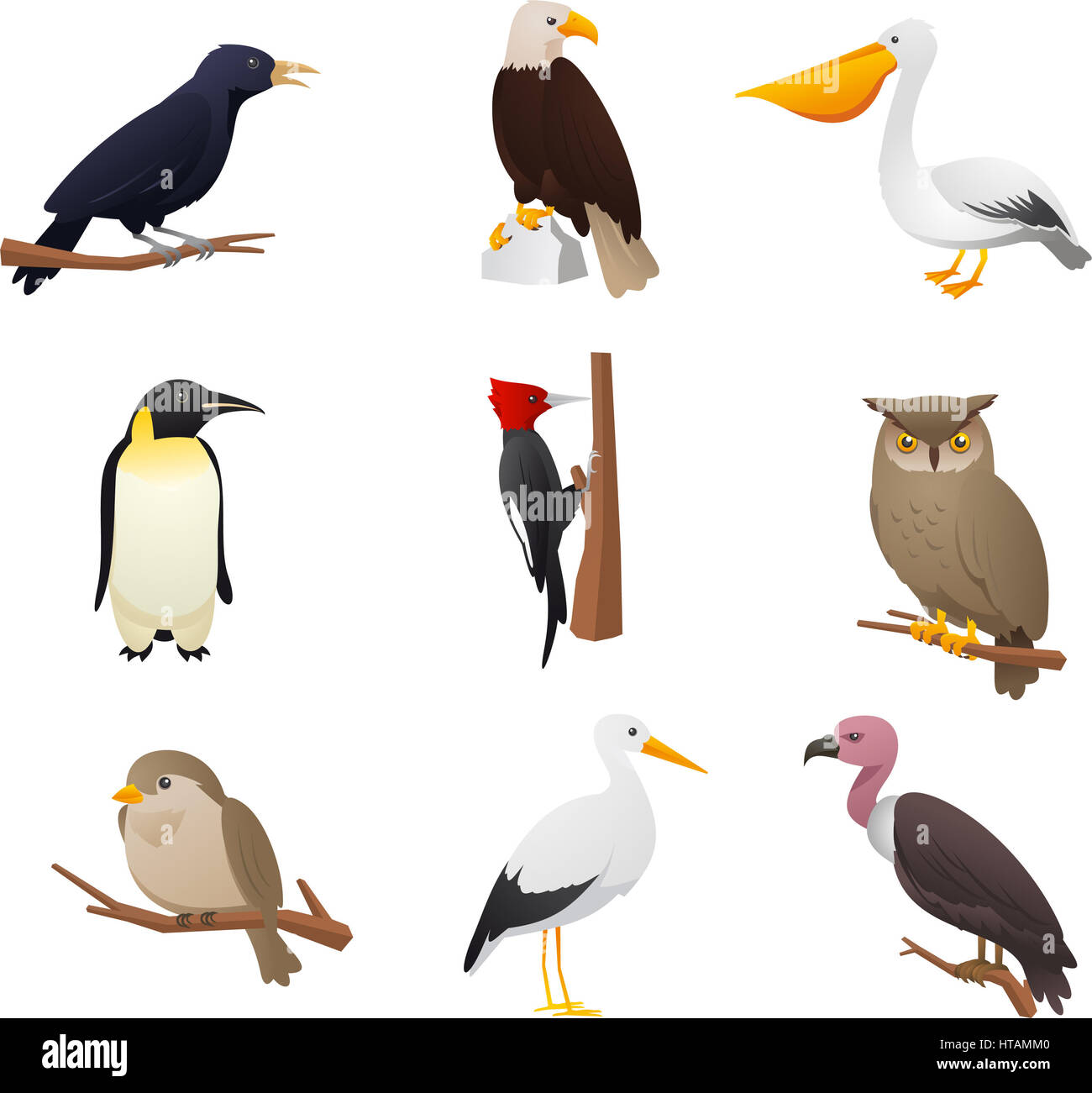 Realistische Vogelsammlung mit Eule, Pelikan, Specht, Pinguin, Adler, Vogel, Kardinal und Raven Vektor-Illustration. Stockfoto