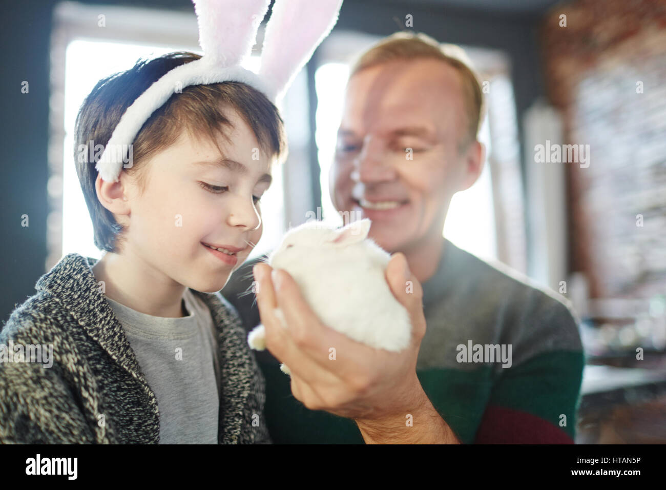 Junge mit Hasenohren Blick auf kleine flauschige Häschen Stockfoto