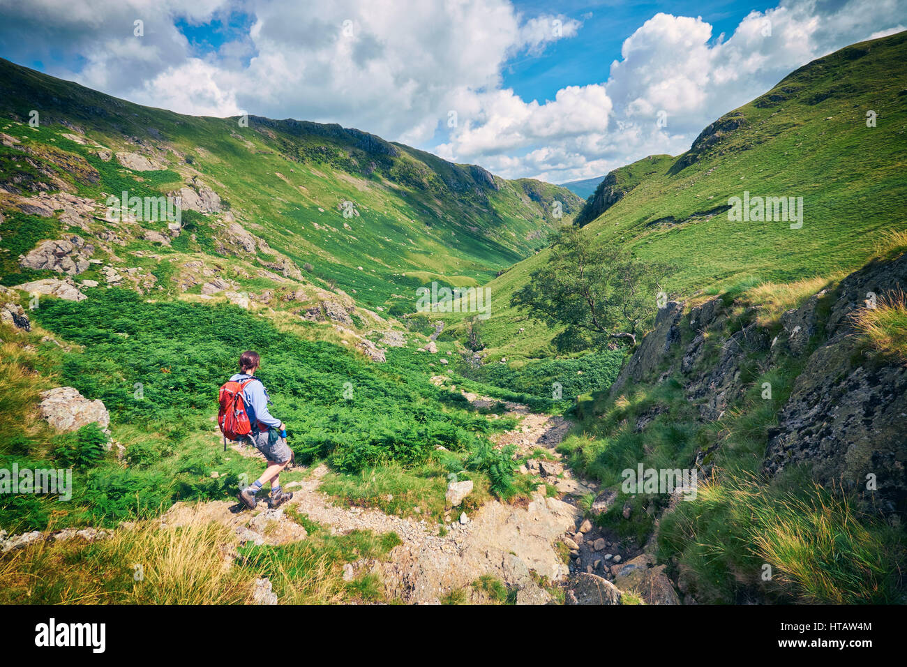 Ein Wanderer zu Fuß in die englischen Lake District, Großbritannien. Stockfoto