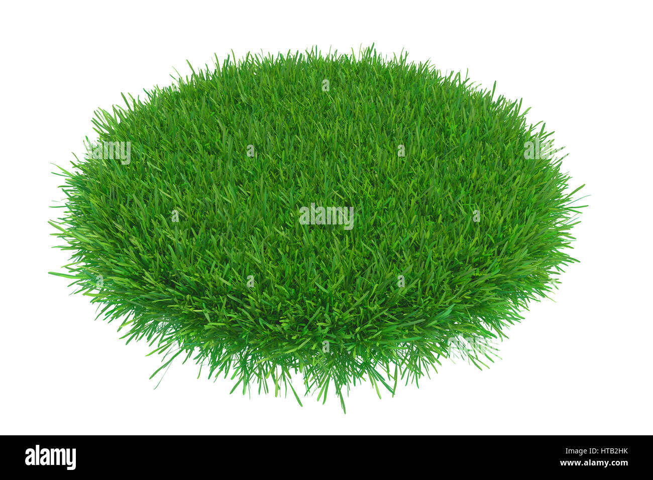 Der Runde Teil des Bereichs von grünem Rasen. 3D-Rendering Stockfoto