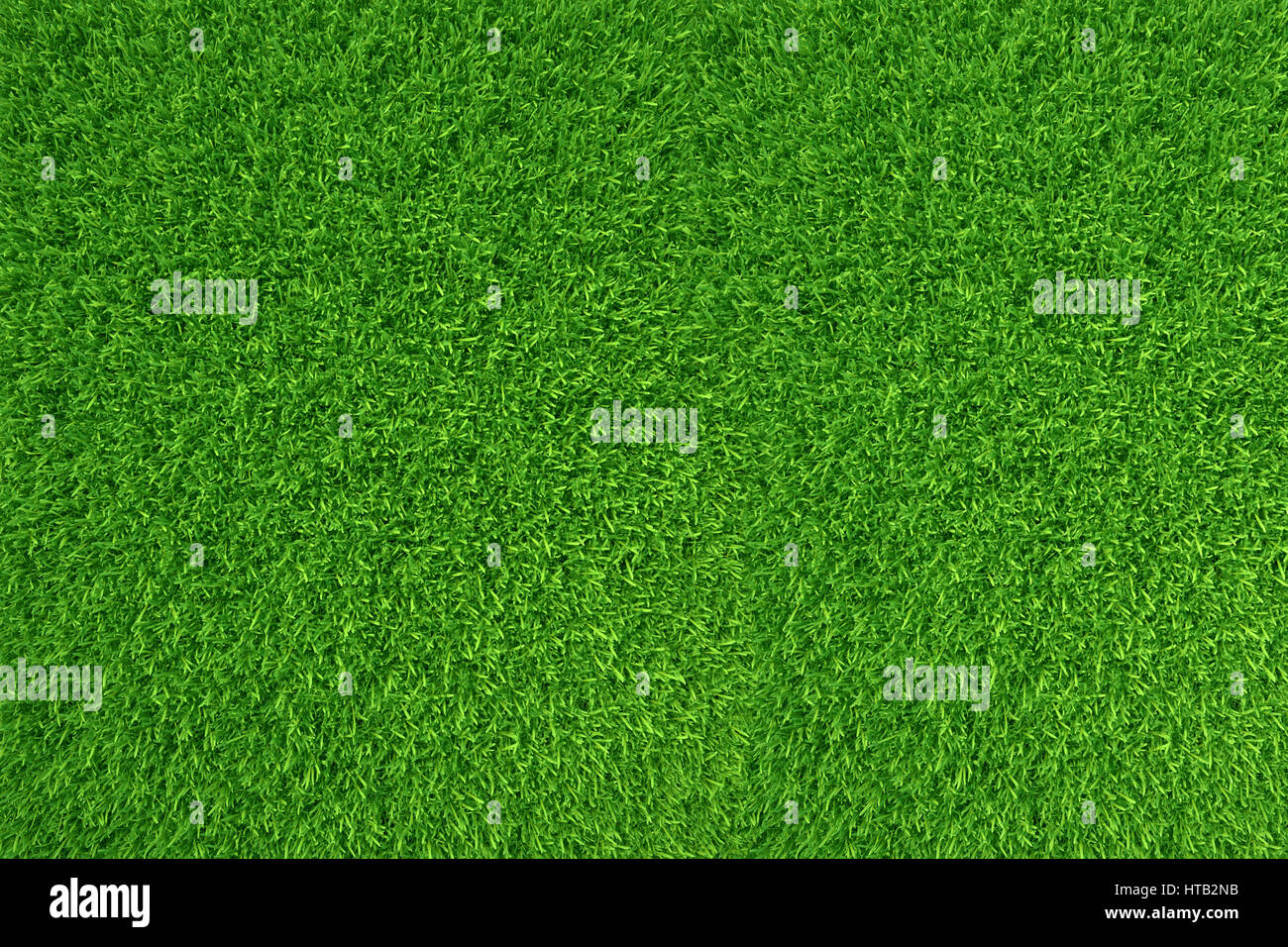 Grünen Rasen. natürliche Hintergrundtextur. hohe Auflösung. 3D-Rendering Stockfoto