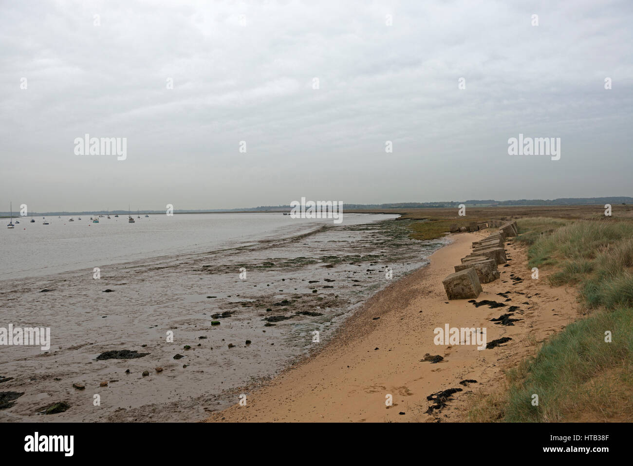 River Deben Bawdsey Fähre Suffolk UK Stockfoto