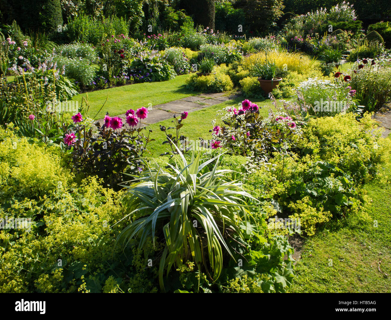 Chenies Manor versunkene Garten, Buckinghamshire. Abendsonne, verstärkt die Farben von Laub, Frauenmantel und dunkel rosa Dahlien hinzufügen zu ihrer Schönheit. Stockfoto