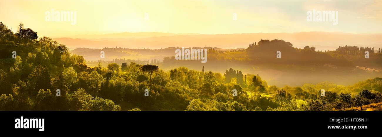 Chianti-Weinberge und Reben von San Gimignano bei Sonnenaufgang, Toskana Italien Stockfoto